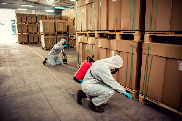 Best Exterminator Services  in North Judson, IN