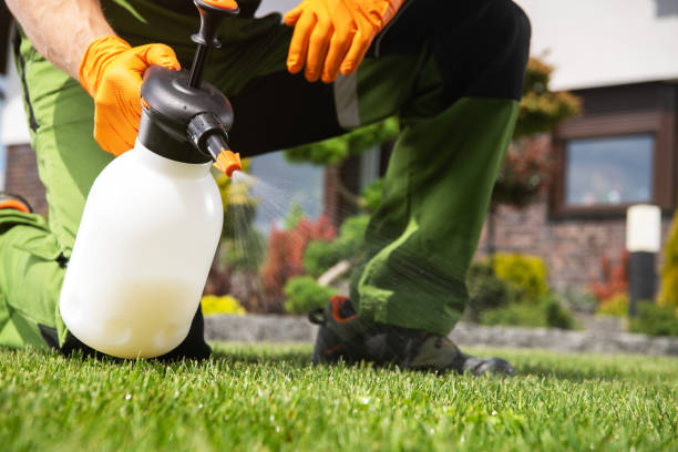 Best Pest Control Near Me in North Judson, IN