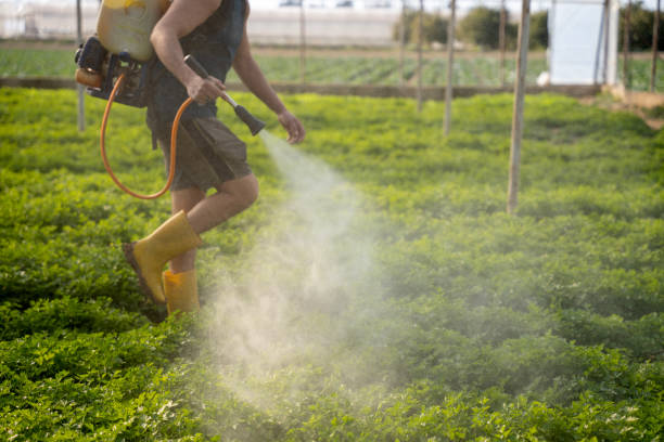 Best Mosquito Control Services  in North Judson, IN