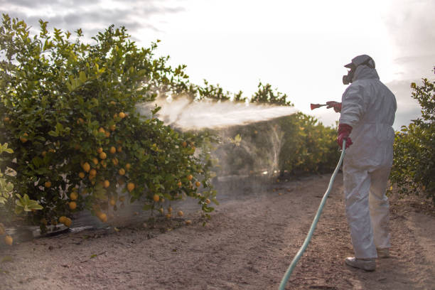 Flea Control Services in North Judson, IN